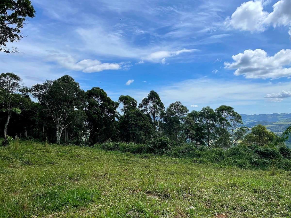 Campo aberto da propriedade sob céu azul, com árvores nativas ao fundo