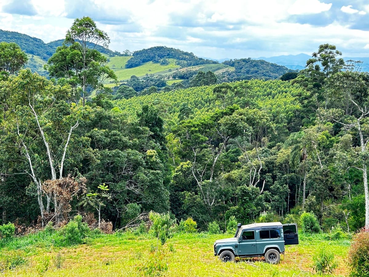 Mata nativa preservada no entorno do terreno, garantindo privacidade
