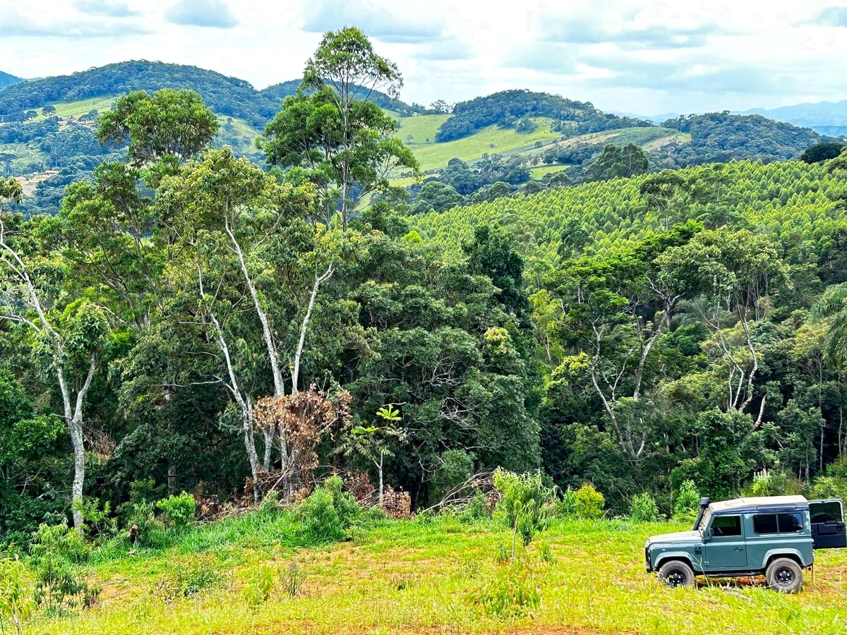 Vegetação nativa e mata fechada nas divisas da propriedade