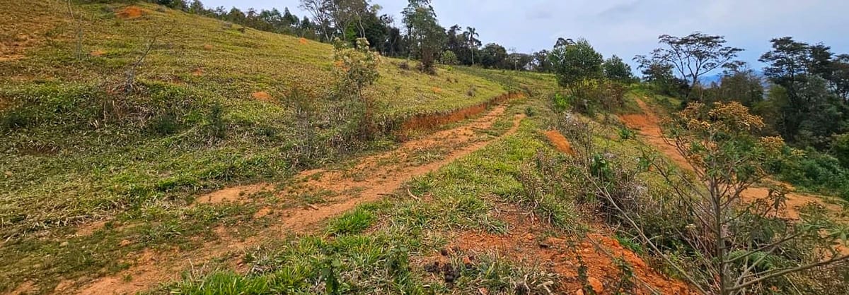 Pomar plantado em curvas de nível, com mais de 7.000 mudas