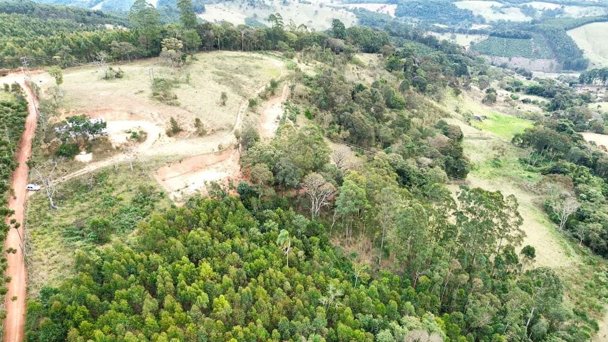 Vista aérea da gleba de 4,18 hectares, com mata nativa no entorno