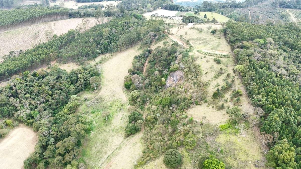 Vista aérea da gleba do Alto das Pitangueiras