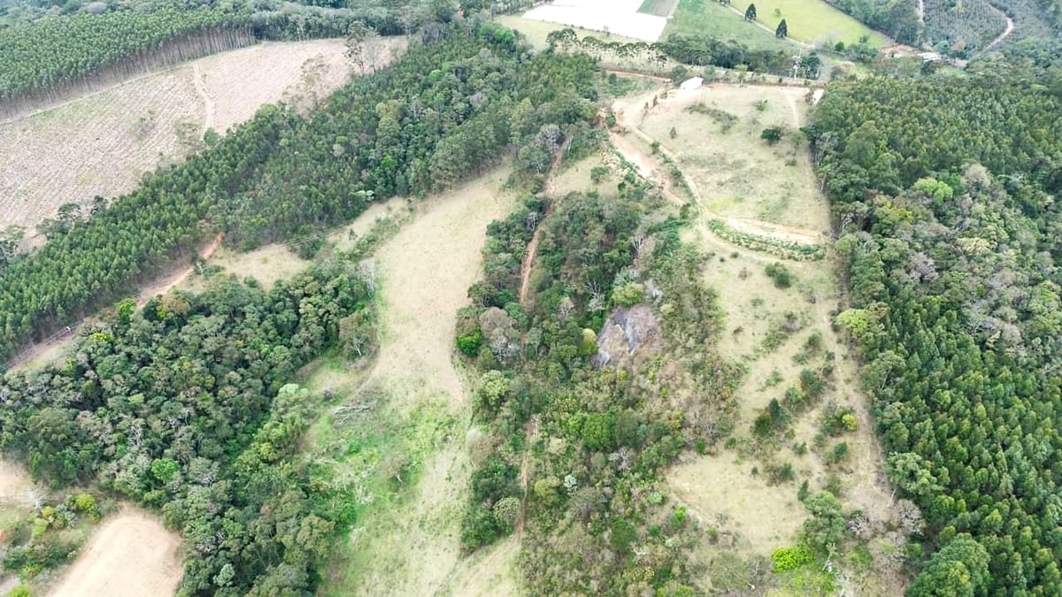Panorâmica aérea da gleba e das divisas com a mata