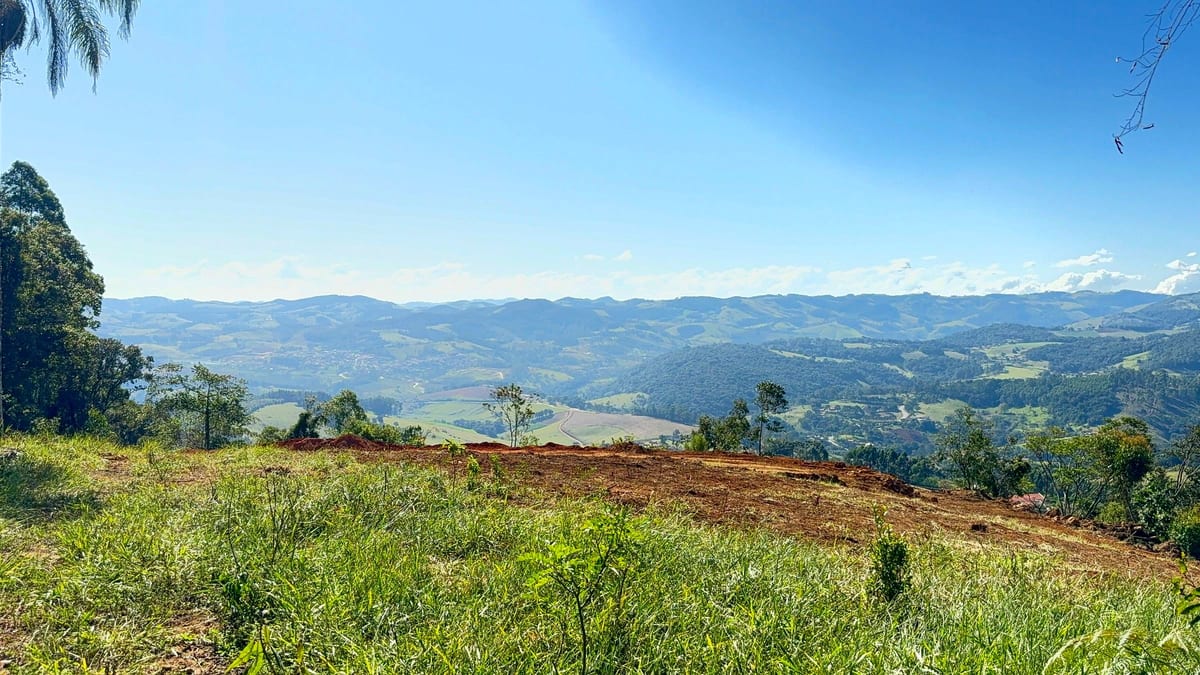 Vista das montanhas com vegetação nativa em primeiro plano
